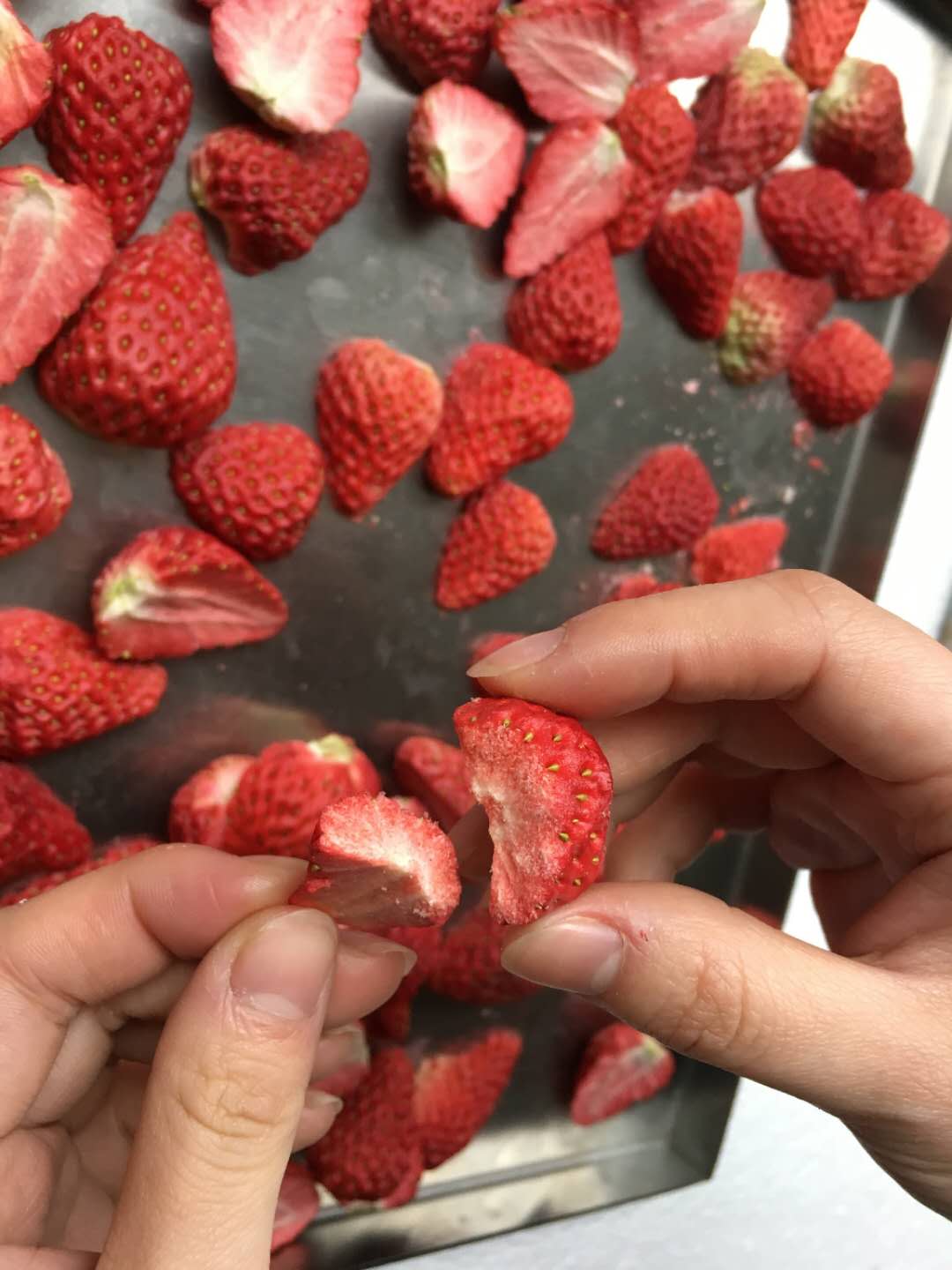 南京草莓555000公海手机版